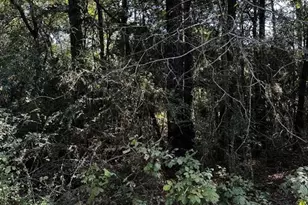 21793 Bluebonnet Dr, Navasota, TX 77868 - Photo 1