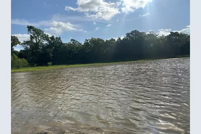 439 Walnut Ln Lane, Buffalo, TX 75831 - Photo 3