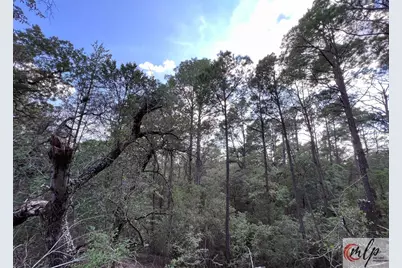 133 Lamaloa Lane, Bastrop, TX 78602 - Photo 5