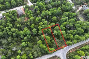 133 Lamaloa Ln, Bastrop, TX 78602 - Photo 1