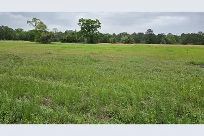 18995 Fm 1484 Road, Conroe, TX 77303 - Photo 9