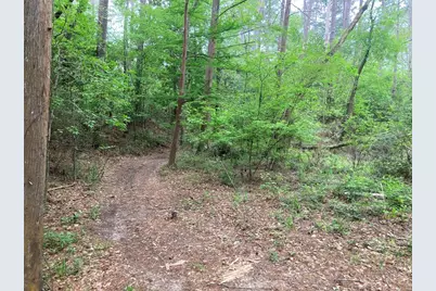 Tbd Afton Way, Huffman, TX 77336 - Photo 13