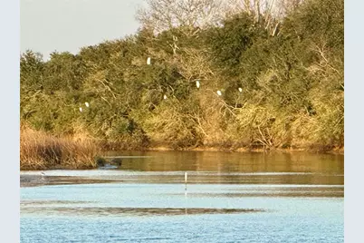 4621 Cr 459B, Freeport, TX 77541 - Photo 17