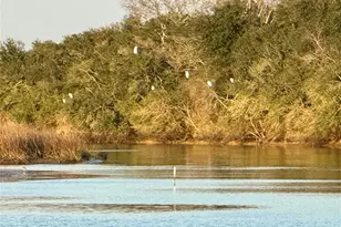 4621 Cr 459B, Freeport, TX 77541 - Photo 17