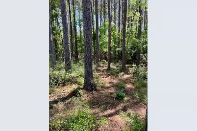 Tbd Westridge Park, Livingston, TX 77351 - Photo 3