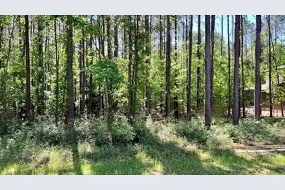 Tbd Westridge Park, Livingston, TX 77351 - Photo 1
