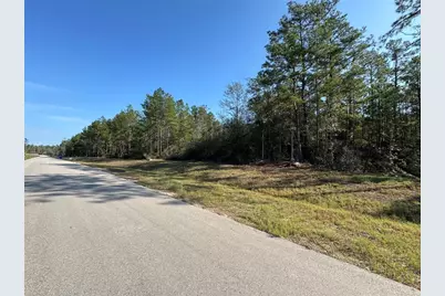 15386 Red Hawk Road, Willis, TX 77378 - Photo 7