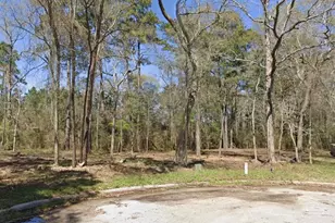 25789 Tupelo Cir, Splendora, TX 77372 - Photo 1