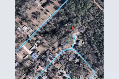 25789 Tupelo Circle, Splendora, TX 77372 - Photo 5