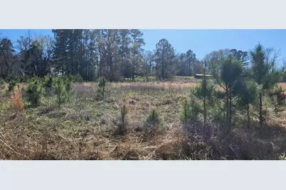 00 Grassy Lane, Coldspring, TX 77331 - Photo 7