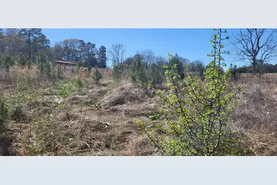 00 Grassy Lane, Coldspring, TX 77331 - Photo 9