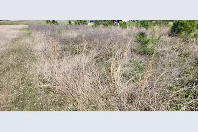 00 Grassy Lane, Coldspring, TX 77331 - Photo 13