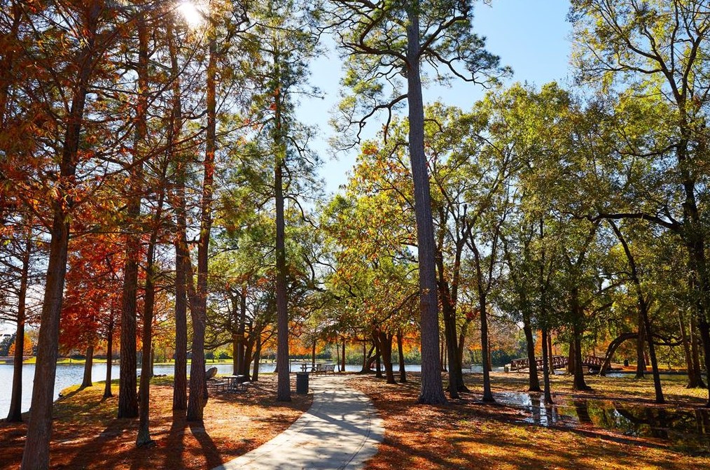 3070 Jensen Dr, Houston TX  77026-5513 exterior