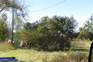 343 Evie Davidson Rd, Apple Springs, TX 75926 - Photo 7