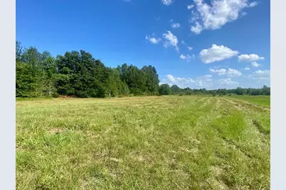 Lot #135 Jb McDuff Drive, Crockett, TX 75835 - Photo 7