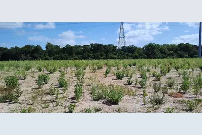 15502 Pinehurst Lane, Santa Fe, TX 77517 - Photo 9