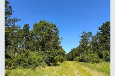 0 Bo Brown Road, Trinity, TX 75862 - Photo 13