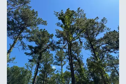 0 Bo Brown Road, Trinity, TX 75862 - Photo 15