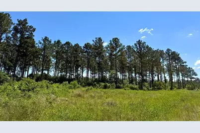 0 Bo Brown Road, Trinity, TX 75862 - Photo 17