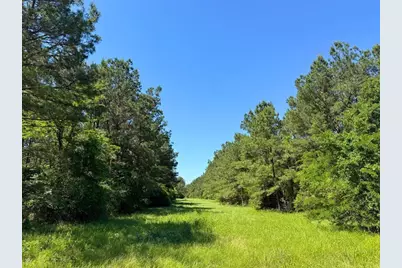 0 Bo Brown Road, Trinity, TX 75862 - Photo 11