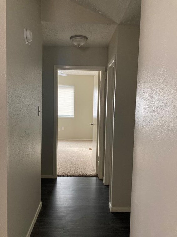 7334 Dew Mist Ln, Houston TX  77095-1512 exterior