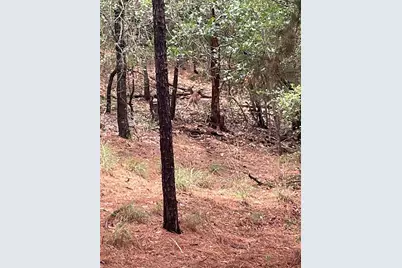 000 Wahane Or Koko, Bastrop, TX 78602 - Photo 11