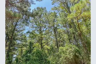 05 Cr 364E, Zavalla, TX 75980 - Photo 11