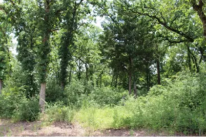 Tract 173 Private Road 1311, Centerville, TX 75833 - Photo 27