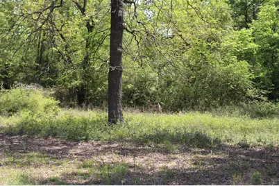 Tract 173 Private Road 1311, Centerville, TX 75833 - Photo 9