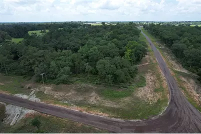 Tract 173 Private Road 1311, Centerville, TX 75833 - Photo 39