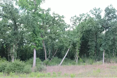 Tract 173 Private Road 1311, Centerville, TX 75833 - Photo 23