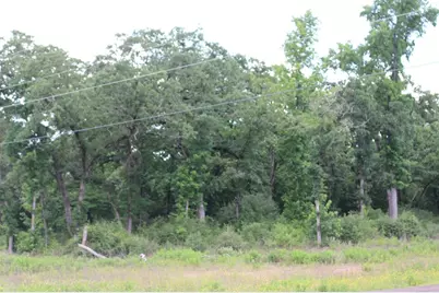 Tract 173 Private Road 1311, Centerville, TX 75833 - Photo 21