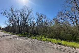 0 Tbd Cr 703, West Columbia, TX 77486 - Photo 1