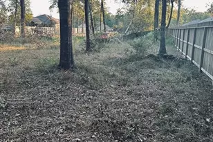 4595 Axis Trail, Conroe, TX 77303 - Photo 5