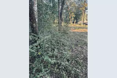 4595 Axis Trail, Conroe, TX 77303 - Photo 7