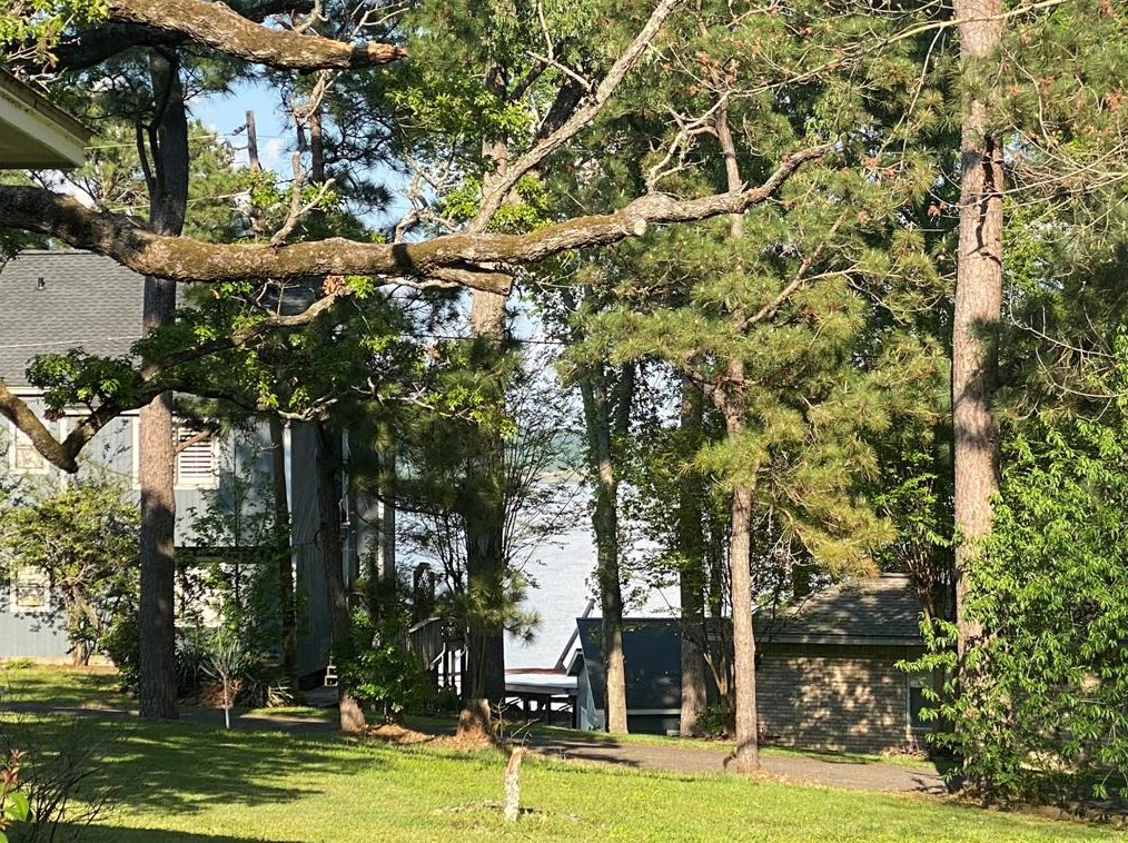 234 El Dorado Dr, Livingston TX  77351-0541 exterior