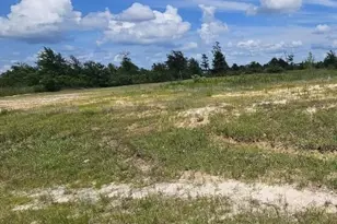 10121 Rd 5839, Cleveland, TX 77327 - Photo 1