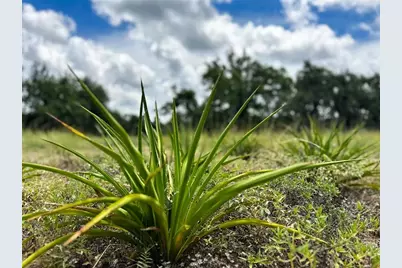 3942 Mount Sharp Road, Wimberley, TX 78676 - Photo 31