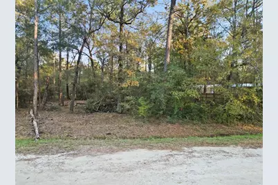 0 Moonlite Drive, Livingston, TX 77351 - Photo 5