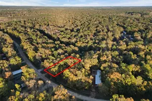 0 Moonlite Dr, Livingston, TX 77351 - Photo 1