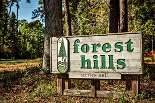 0000 Loper Lake Dr, Livingston, TX 77351 - Photo 1