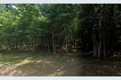 0000 Loper Lake Drive, Livingston, TX 77351 - Photo 3