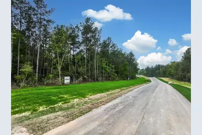 25011 Balmorhea Way, Montgomery, TX 77316 - Photo 3