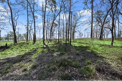 2405 Barretts Landing Road, Trinity, TX 75862 - Photo 27