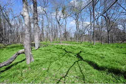 2405 Barretts Landing Road, Trinity, TX 75862 - Photo 39