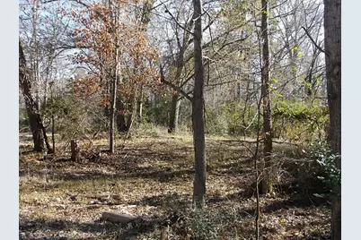 2405 Barretts Landing Road, Trinity, TX 75862 - Photo 11