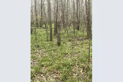 Tbd County Road 2505, Liberty, TX 77575 - Photo 3