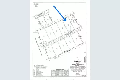 15492 Wood Grove Way, Willis, TX 77378 - Photo 5