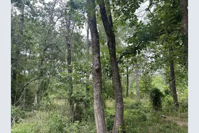 195 Greathouse Street, Vidor, TX 77662 - Photo 1