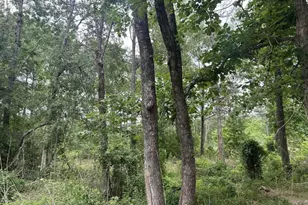 195 Greathouse St, Vidor, TX 77662 - Photo 1